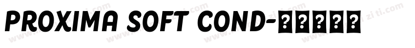 Proxima Soft Cond字体转换
